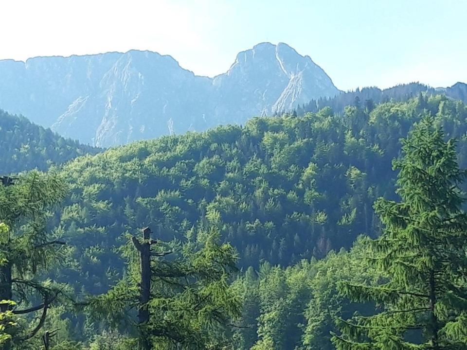 Kwatery Prywatne-Romanowka Zakopane Dış mekan fotoğraf
