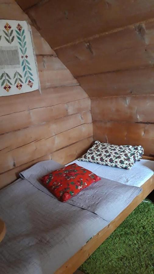 Kwatery Prywatne-Romanowka Zakopane Dış mekan fotoğraf