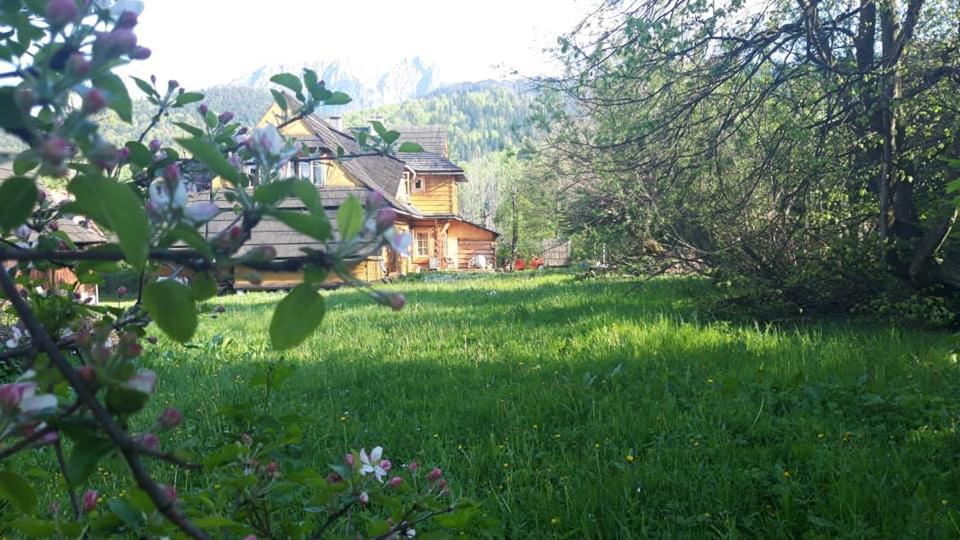 Kwatery Prywatne-Romanowka Zakopane Dış mekan fotoğraf