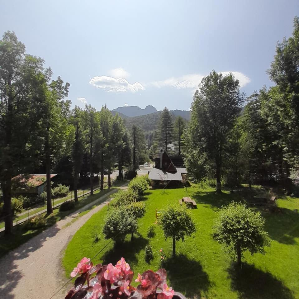 Kwatery Prywatne-Romanowka Zakopane Dış mekan fotoğraf