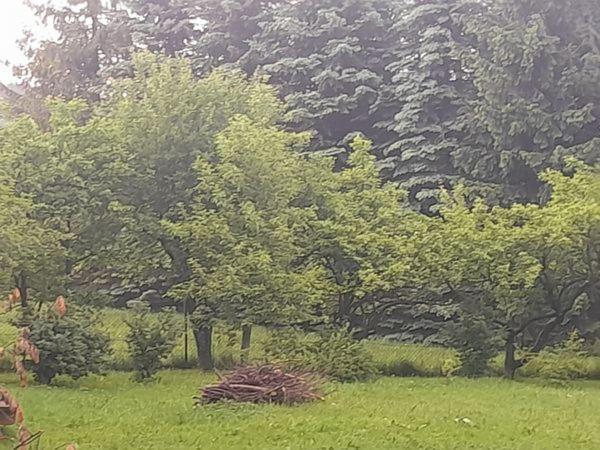 Kwatery Prywatne-Romanowka Zakopane Dış mekan fotoğraf
