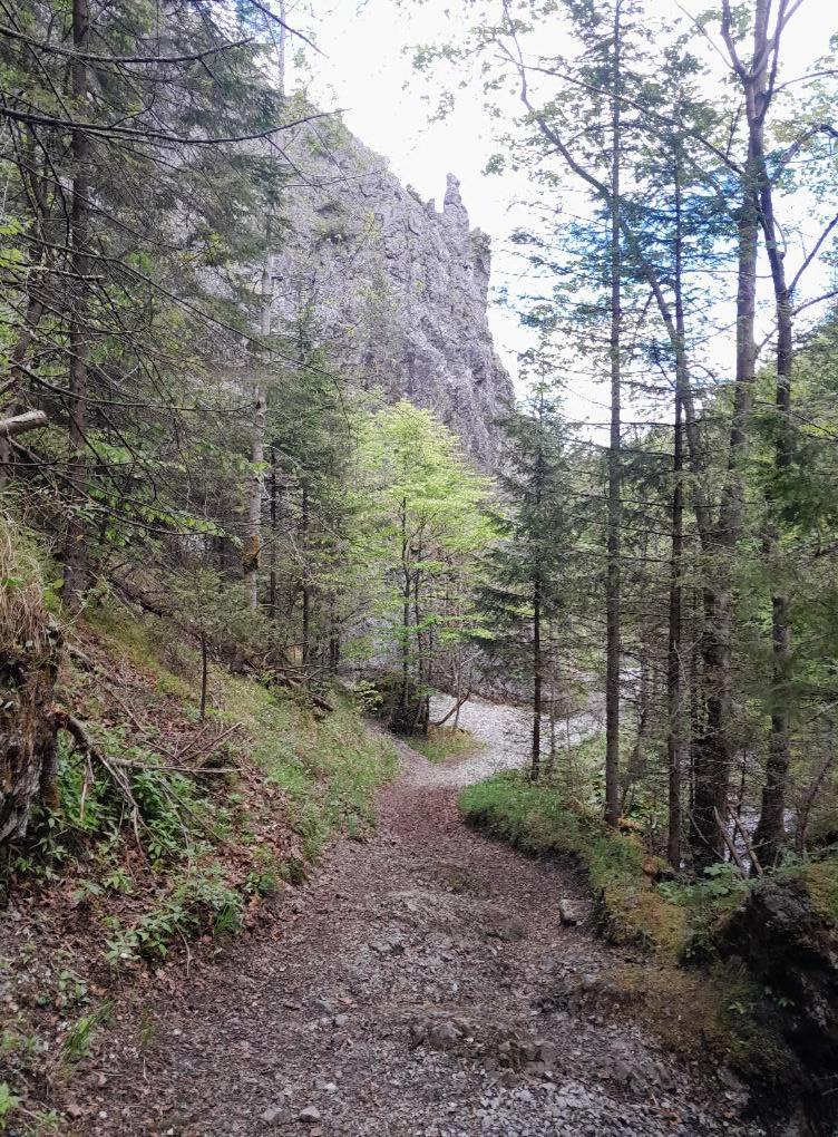 Kwatery Prywatne-Romanowka Zakopane Dış mekan fotoğraf