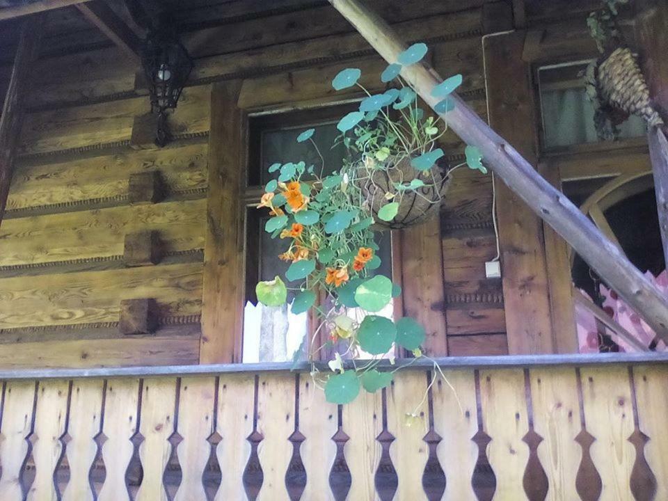 Kwatery Prywatne-Romanowka Zakopane Dış mekan fotoğraf